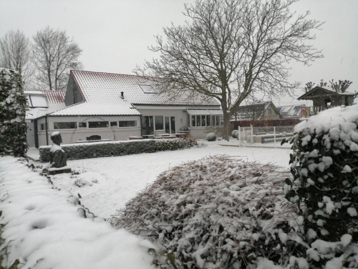 Tende Deerlijk Bagian luar foto